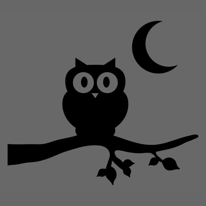 eule_vollmond
