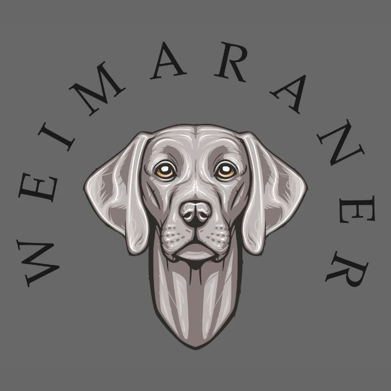 Weimaraner