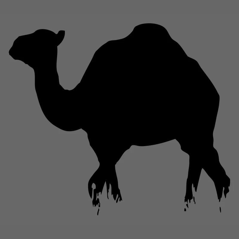Dromedar - Camel