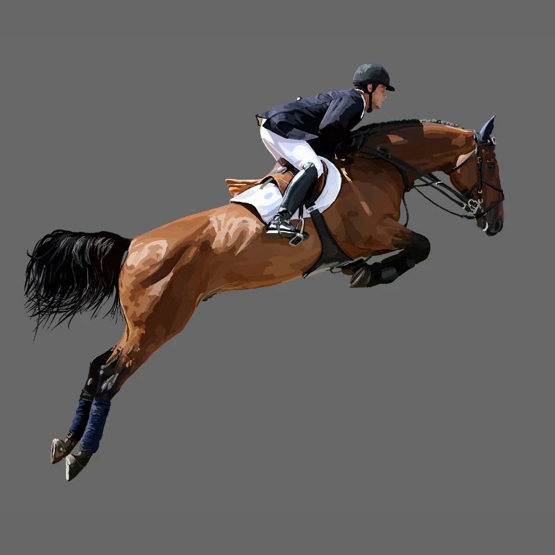 Cavalier de saut d'obstacles dynamique au galop