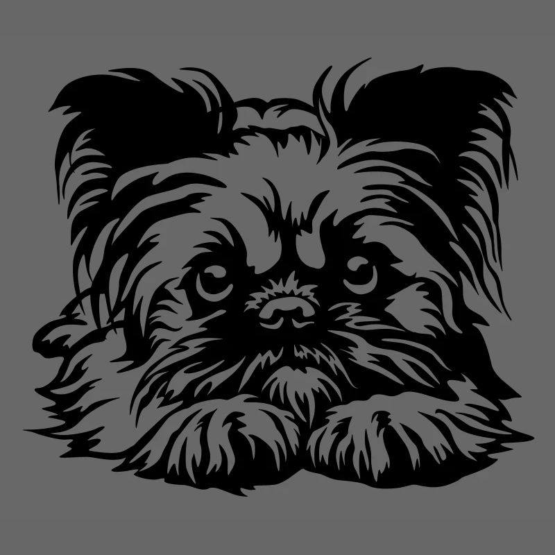 Brüsseler Griffon Kopf