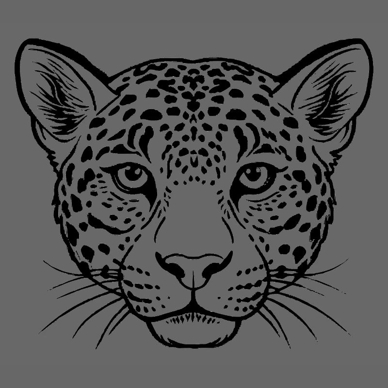 Leopard face