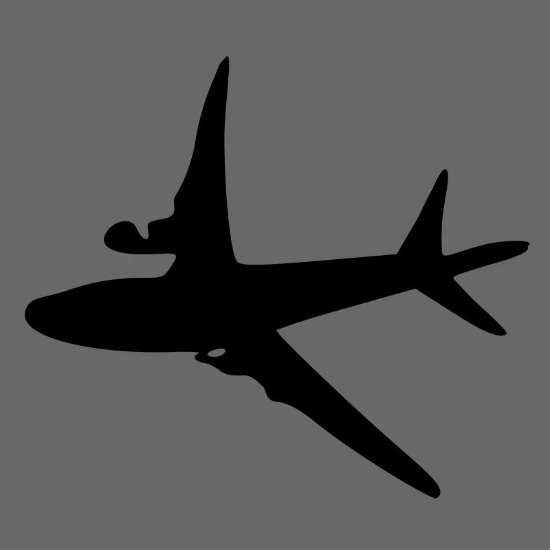 Flugzeug -6