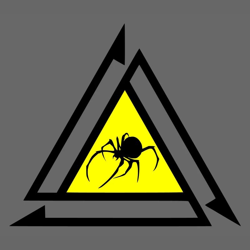 Spinne