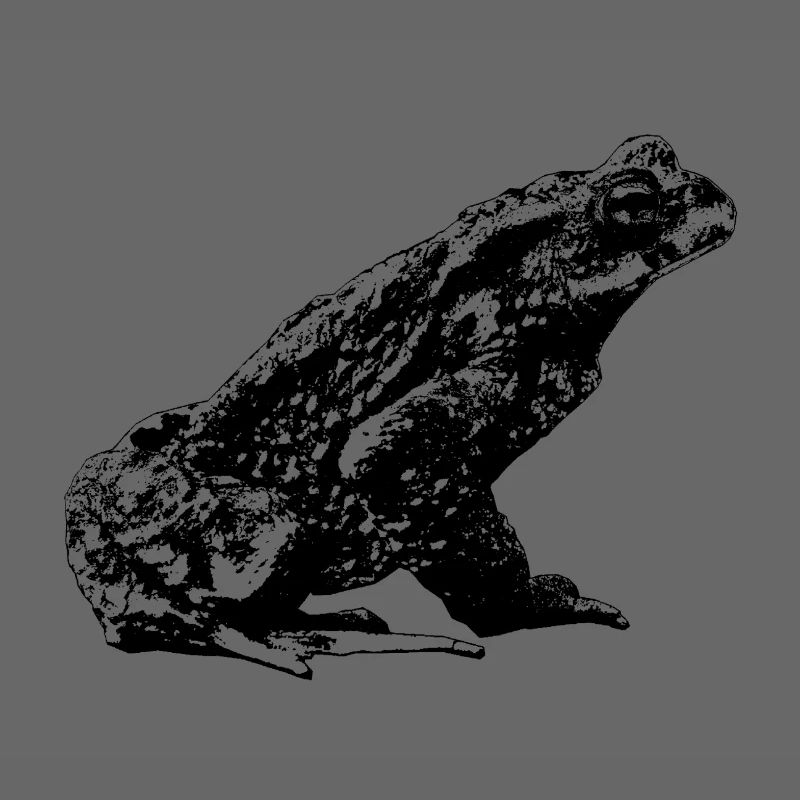 Crapaud / Bufo Bufo / Graphique