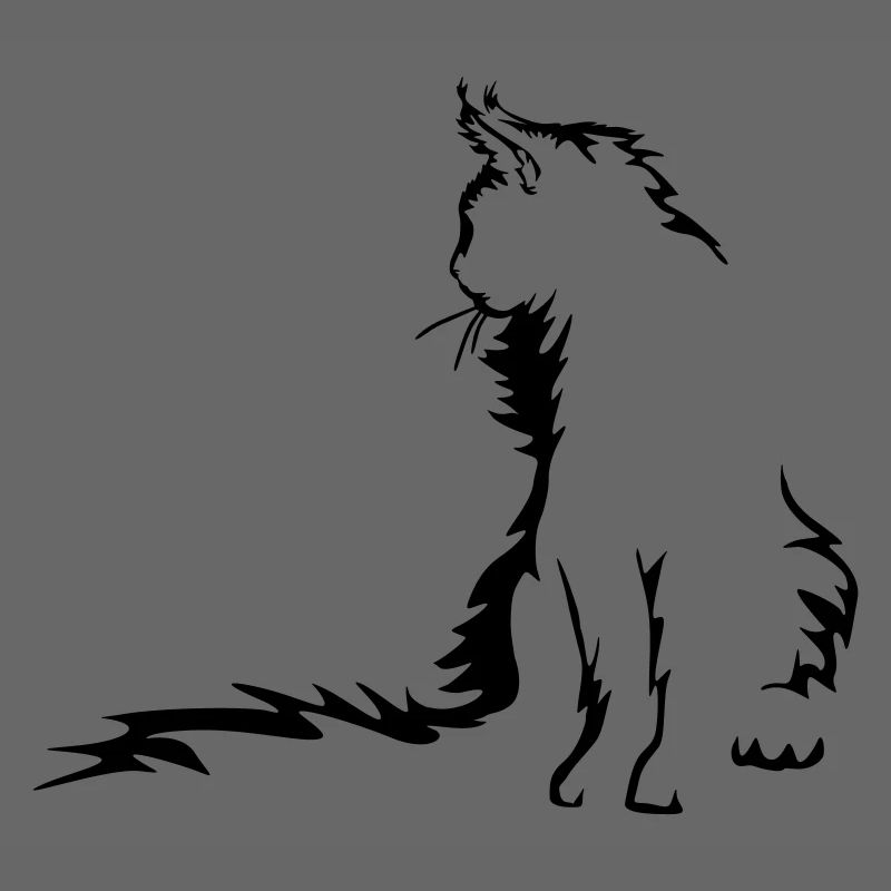 Maine Coon Katze
