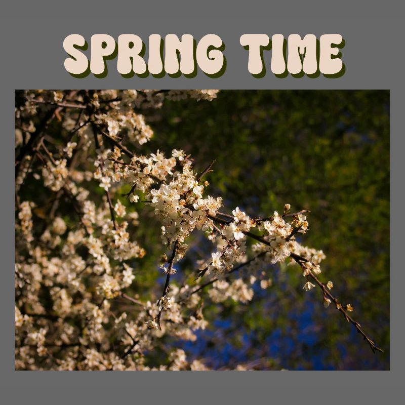 Spring Time