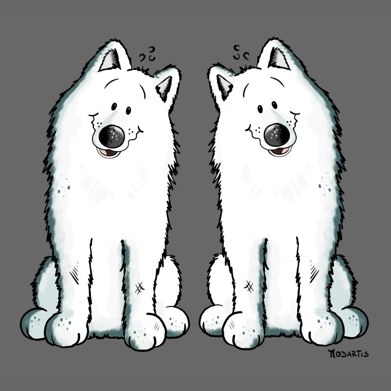 Samoyed Team - Samoyède