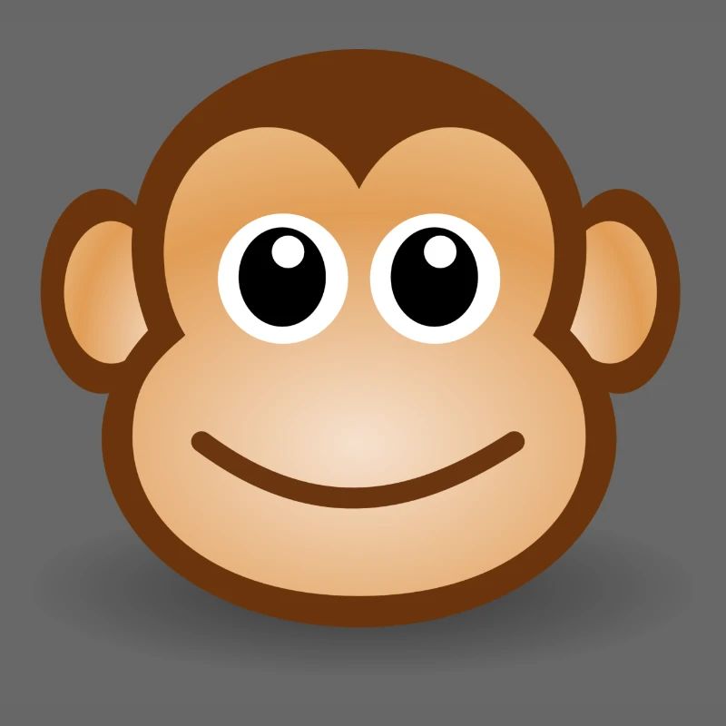 Monkey Face Gift Idea