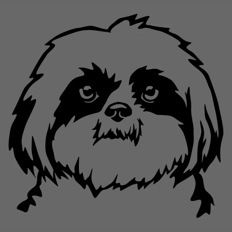 Shih Tzu Kopf