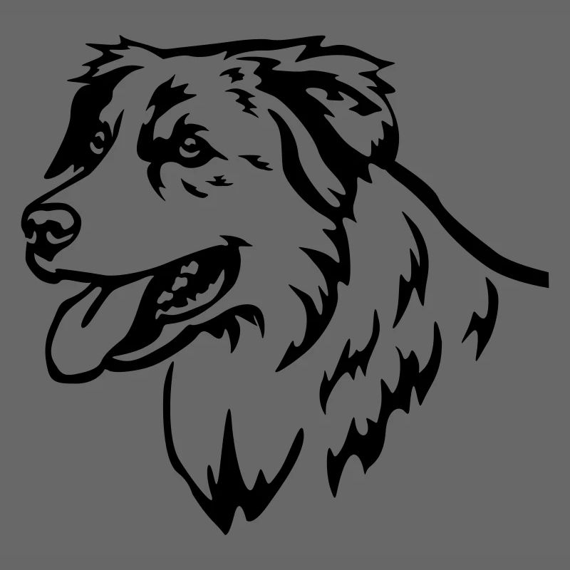 Australian Shepherd Kopf