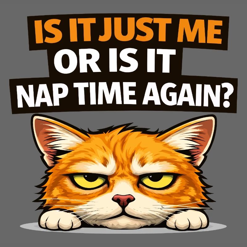 Nap Time Cat Meme