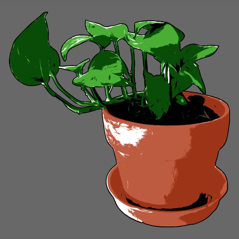 Plante