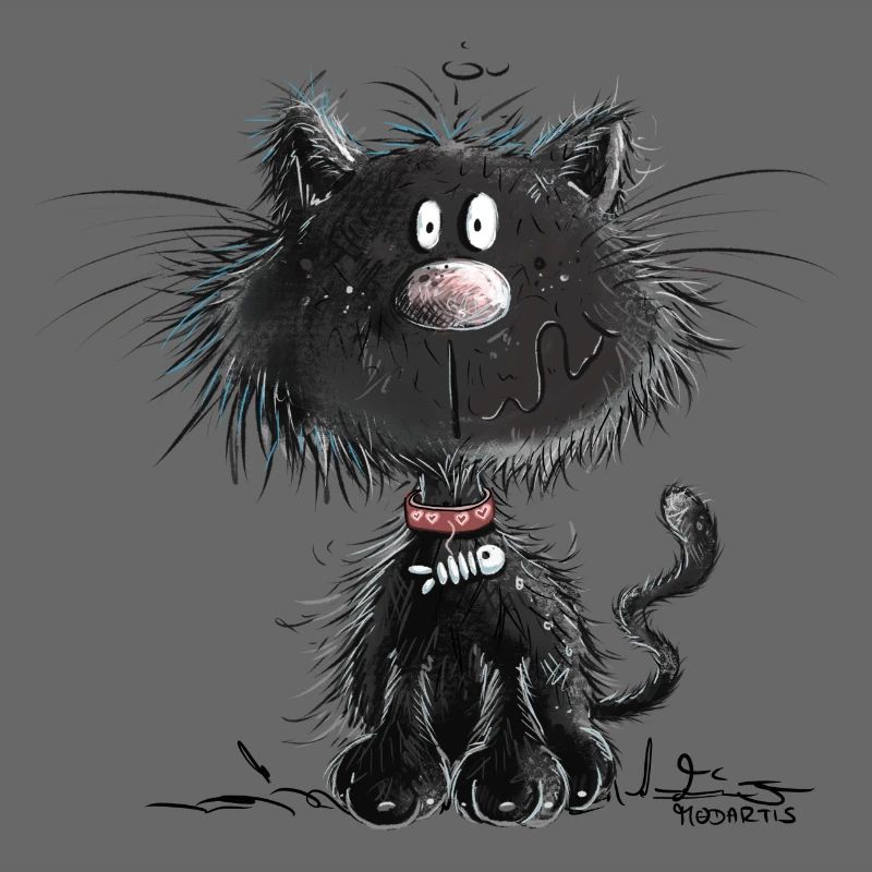 Drollige Schwarze Katze