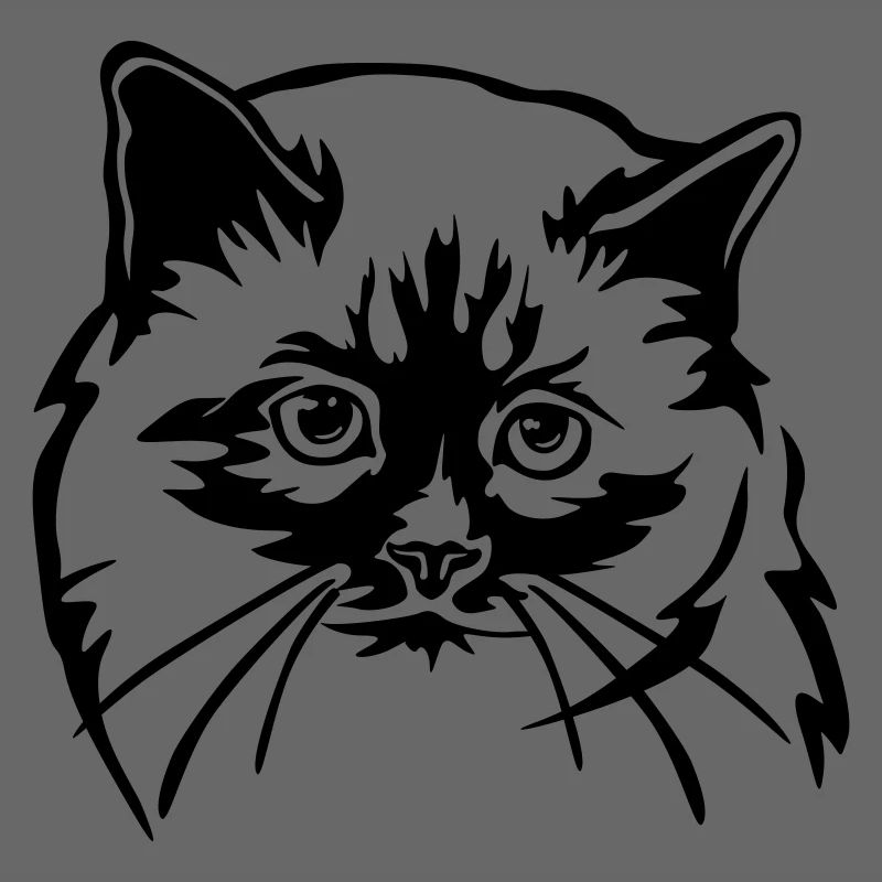 Birma Katze