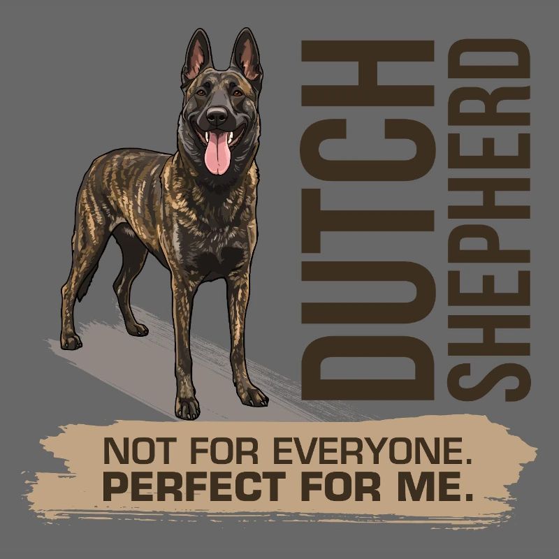 Dutch Shepherd – Dutchie