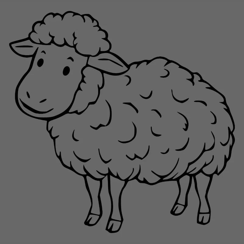 Schaf Schäfchen Lamm