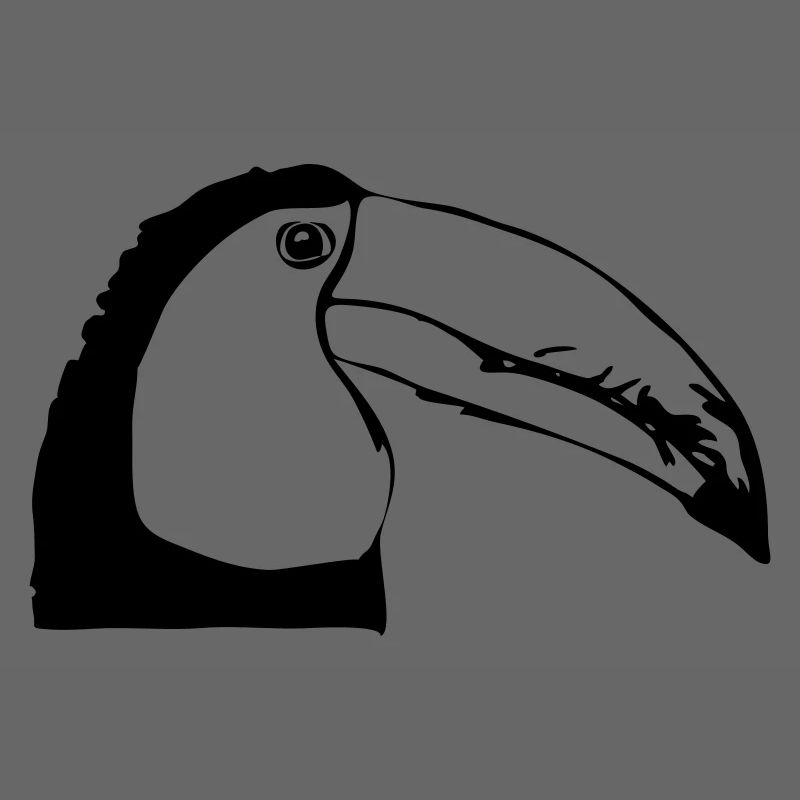 Toucan in profile