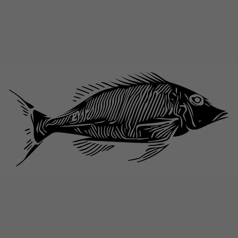 Vintage Fisch Fischgräten Knochenfisch Skelett