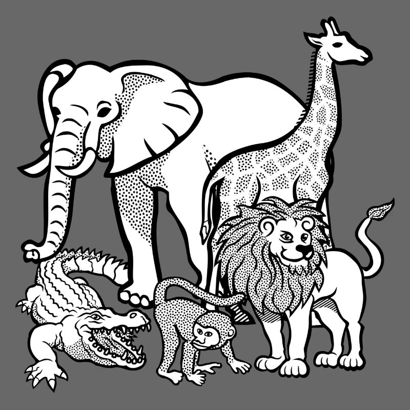 zoo