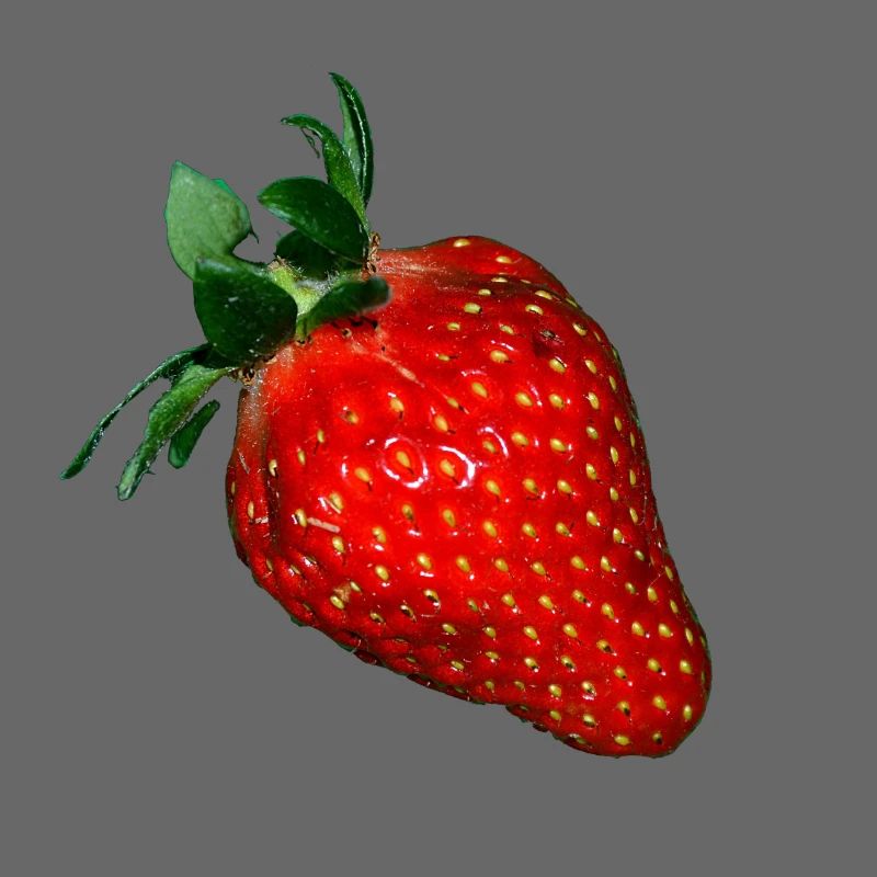 Erdbeere