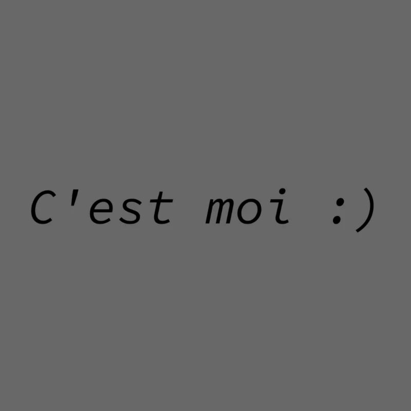 C'est moi :)