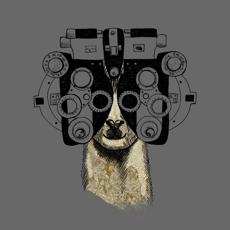 Alpaka & Phoropter