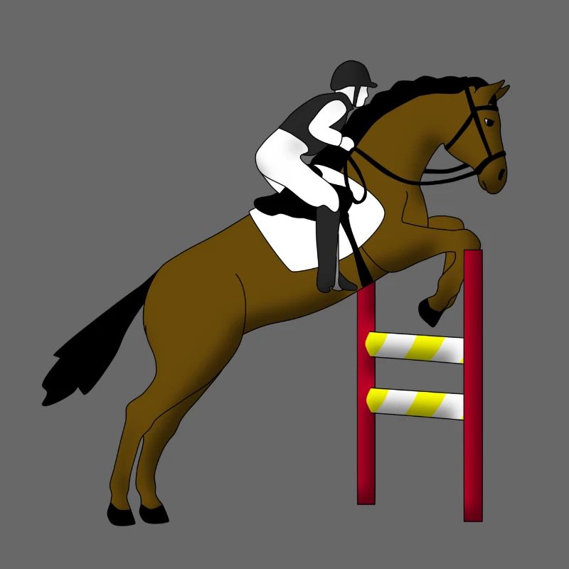 Springreiten 1