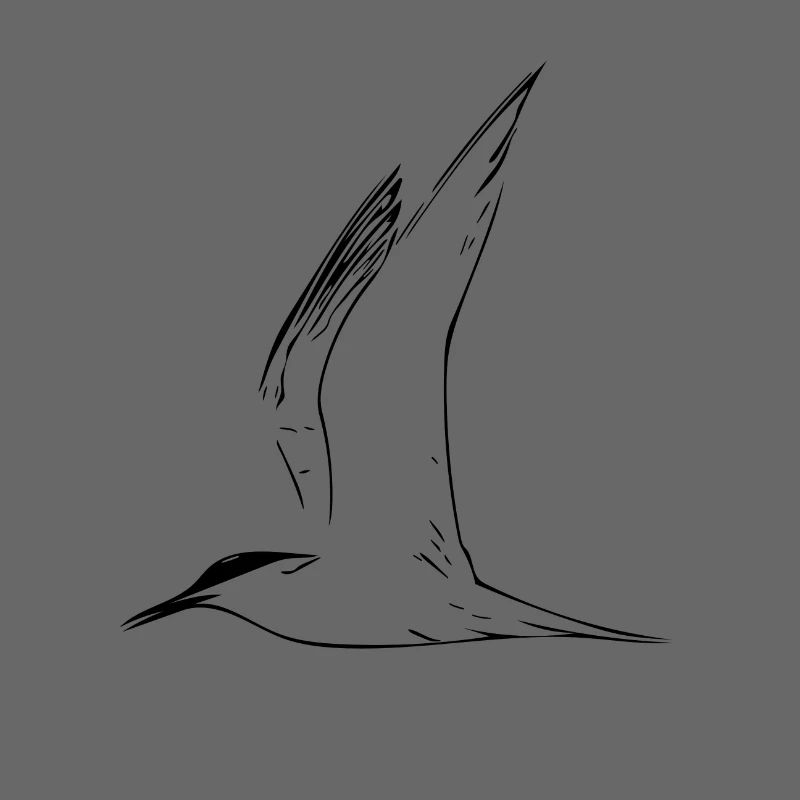 gull