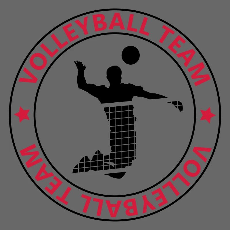 l'équipe de volley-ball
