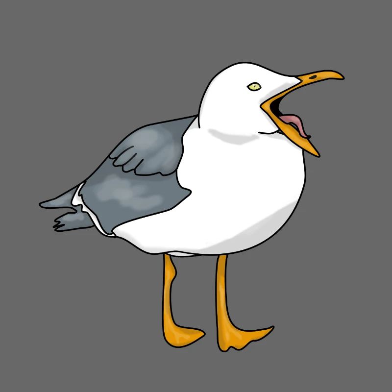 Möwe - Seagull