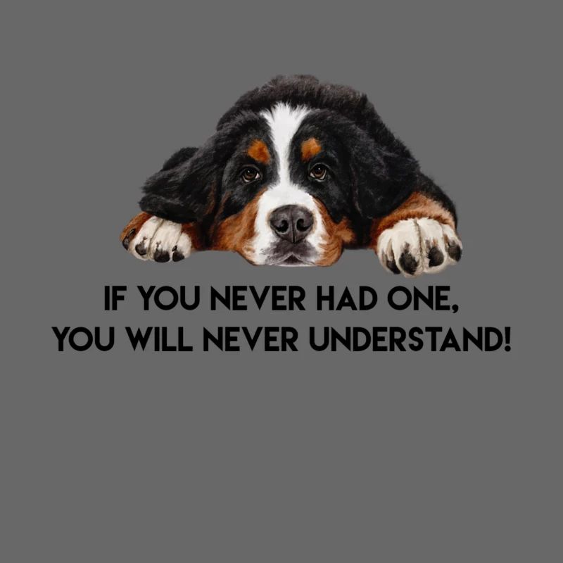 Bernese Mountain dog