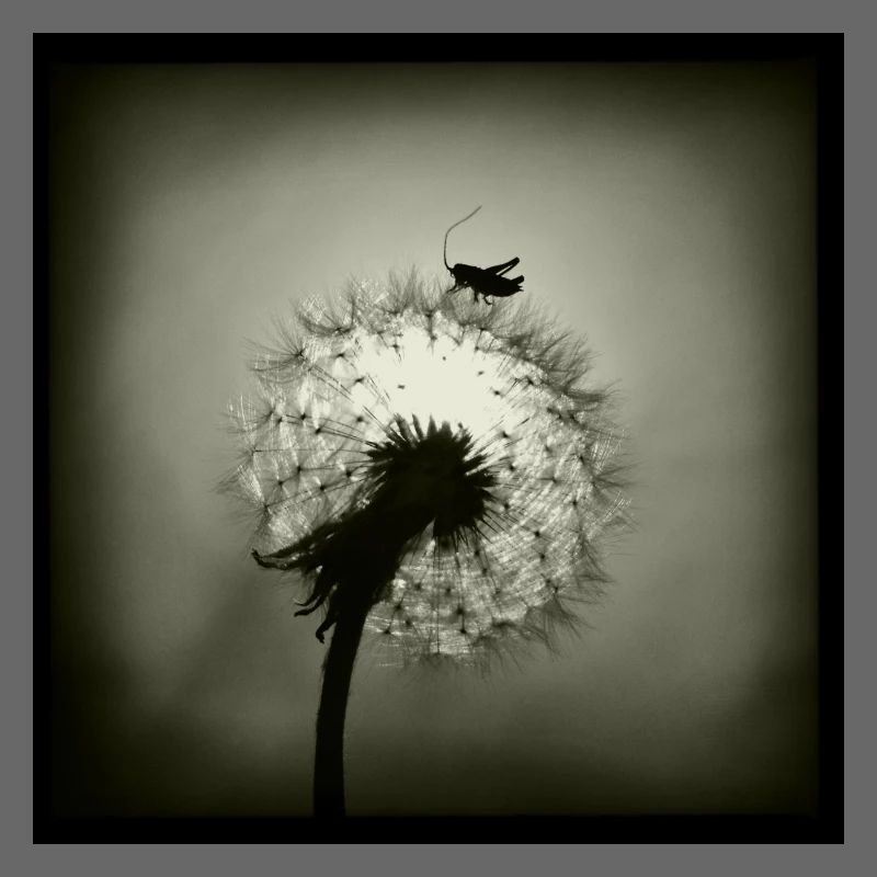 Tiny Planet