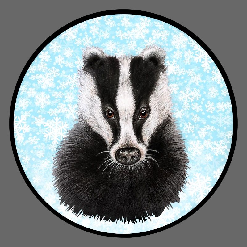 Badger/Dachs im Schnee