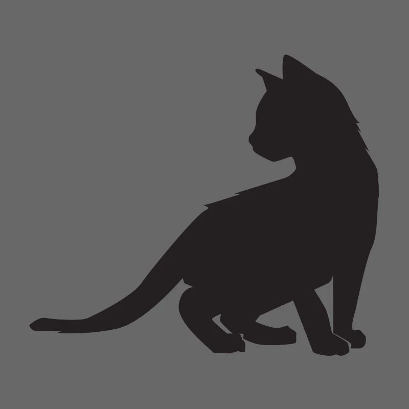 Conception de chaton