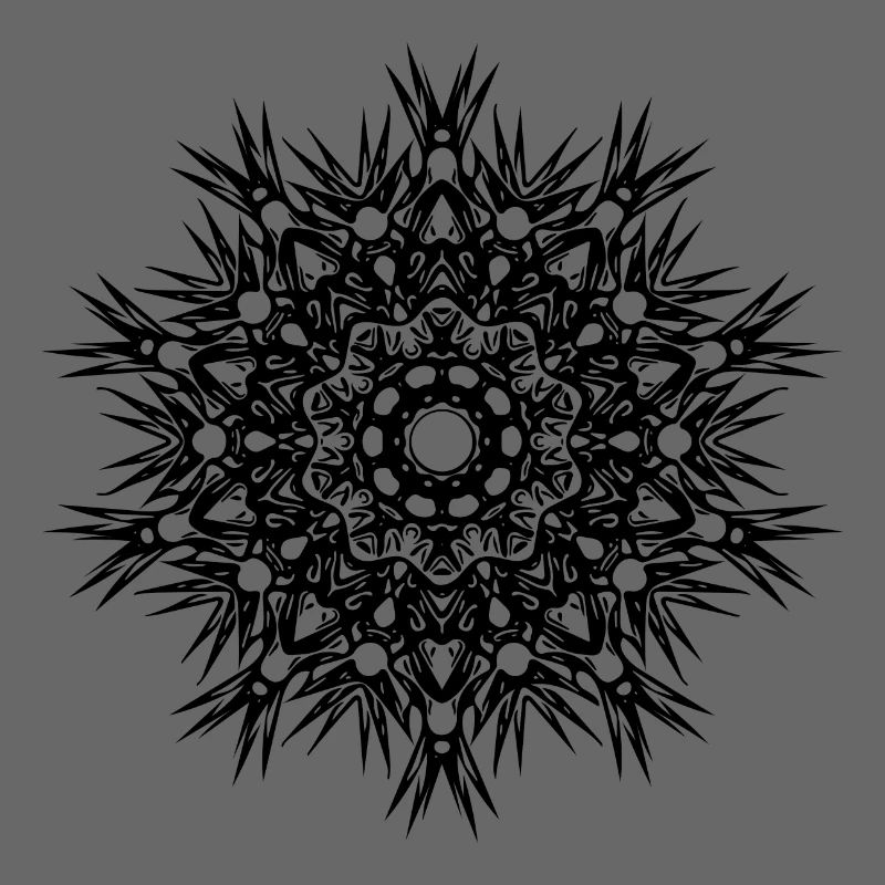Geometric lines mandala shape