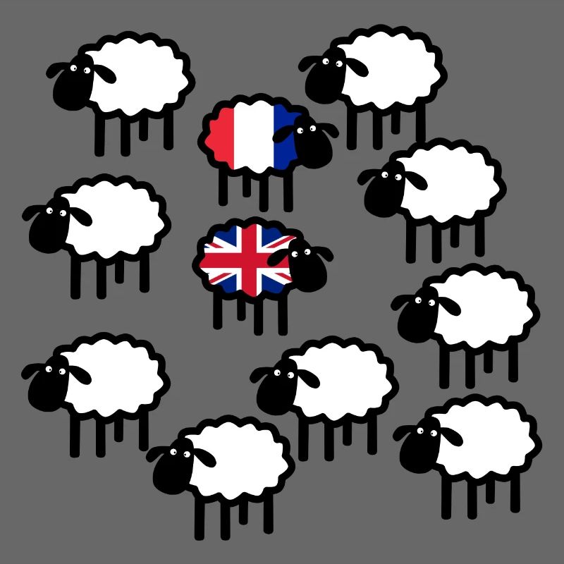 French and British sheep