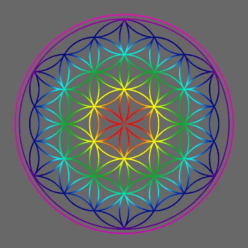 REGENBOGENBLUME DES LEBENS
