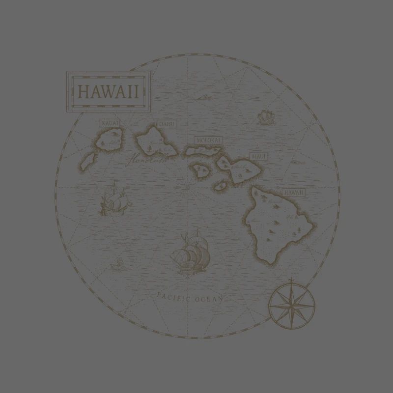 Hawaii Vintage Map