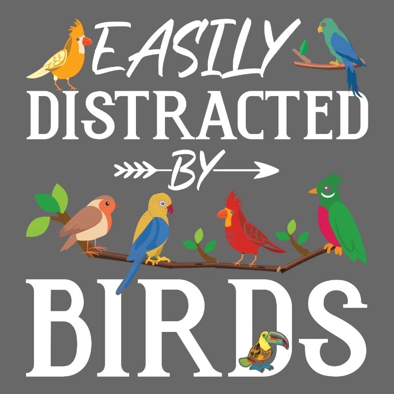 Facilement distrait par les oiseaux