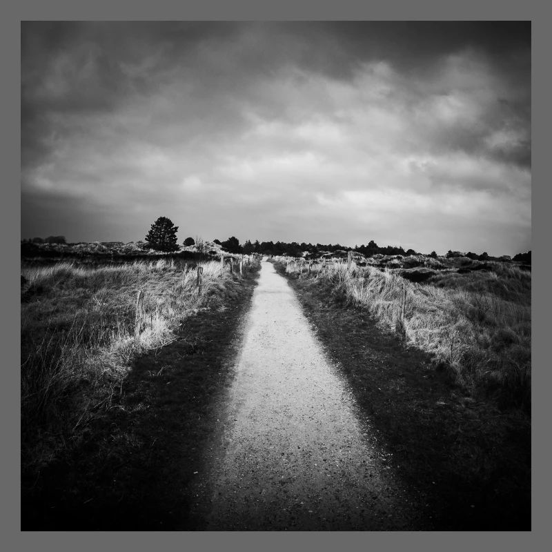 Chemin chemin St. Peter Ording Dunes Mer du Nord affiche
