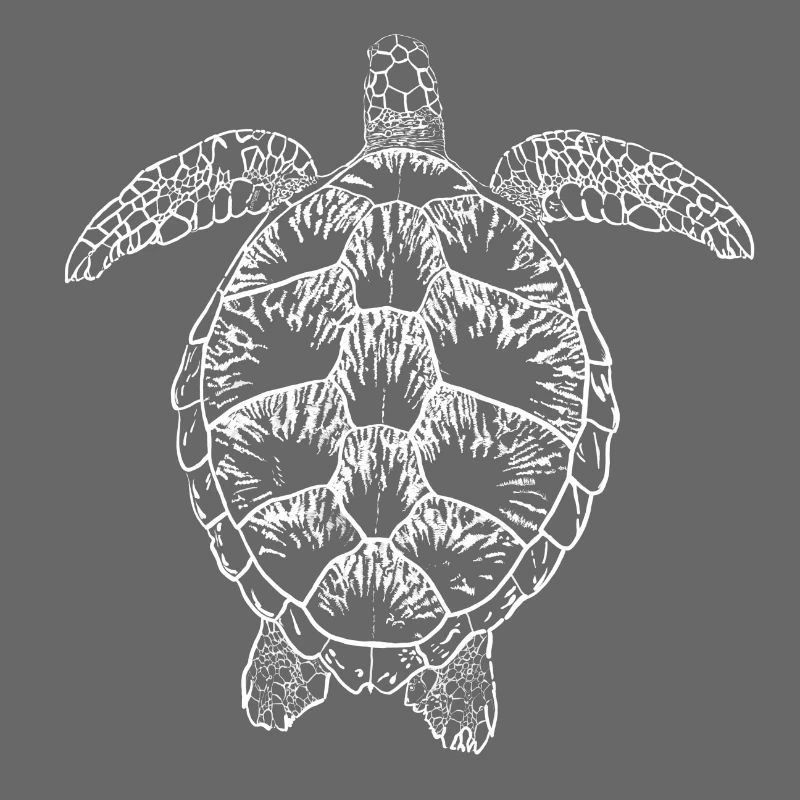 Turtle white2