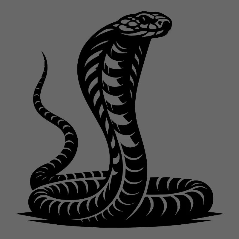 Serpent Cobra Cou Bouclier Menaçant Conception Posture