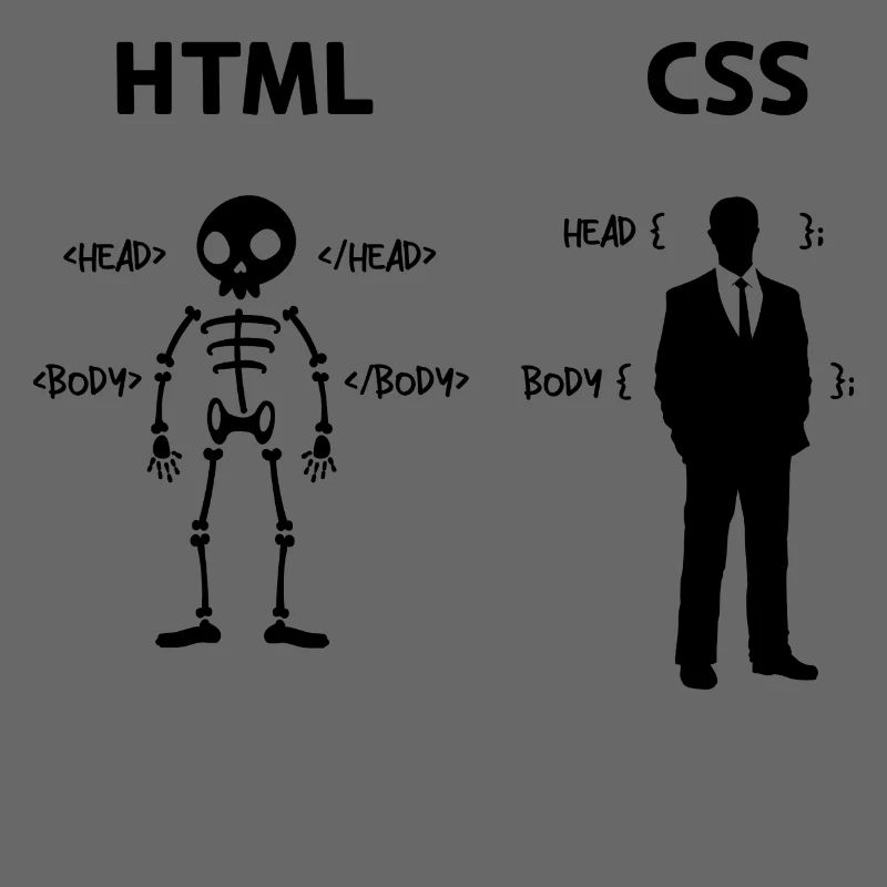 Developer Programmierer Coden Css Skripting Code