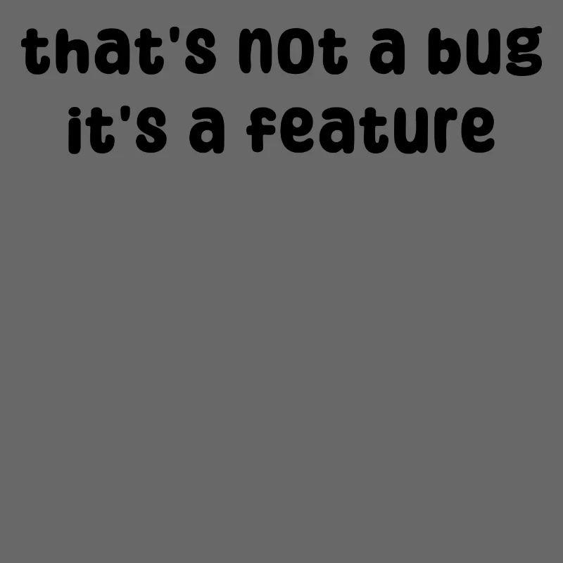 Développeur : Geek Bugs Code Computer Science Statement