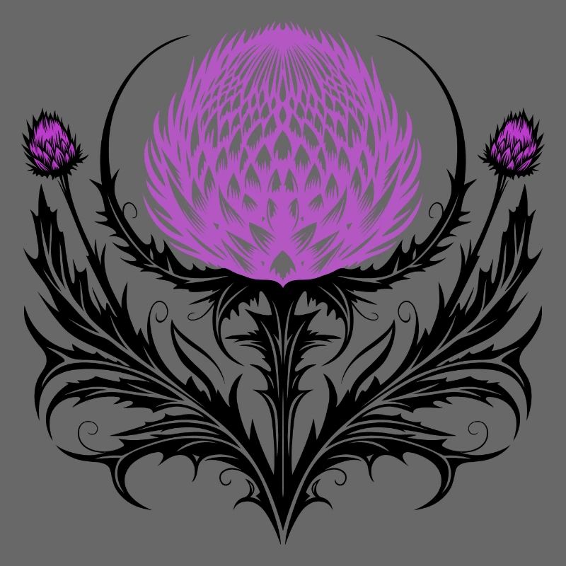 Distel Tattoo Scottish Thistle Botanical Art