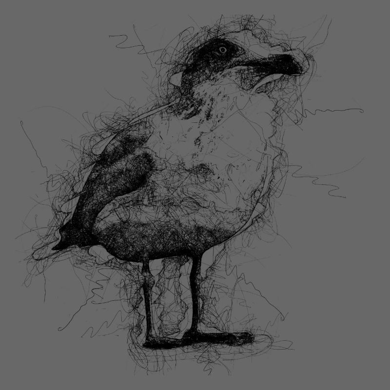 Möwe