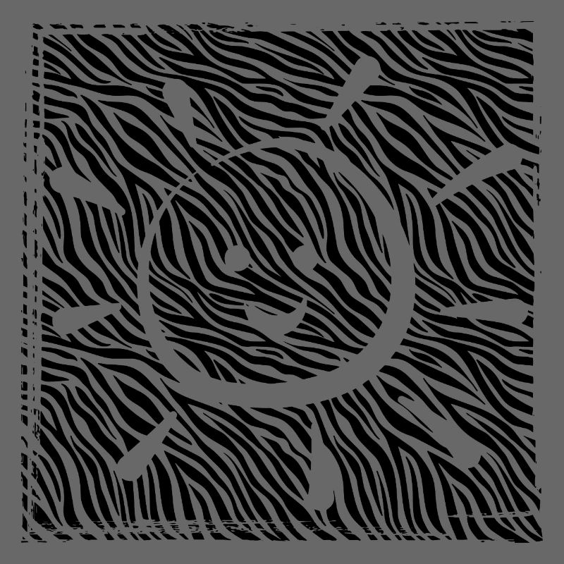 Zebra Sonne