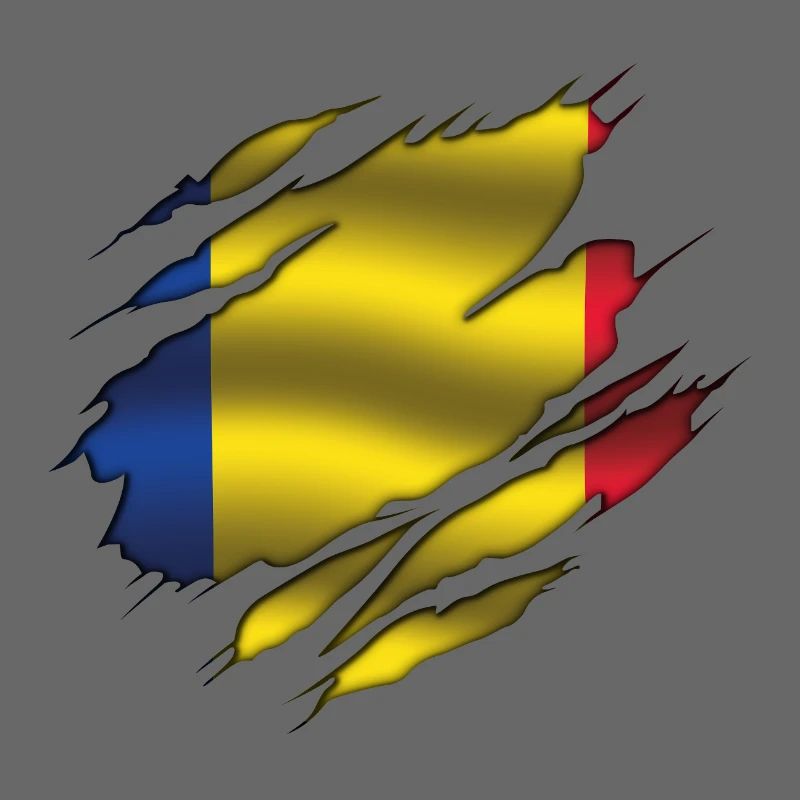 Drapeau de la Roumanie - Roumanie - Drapeau déchiré
