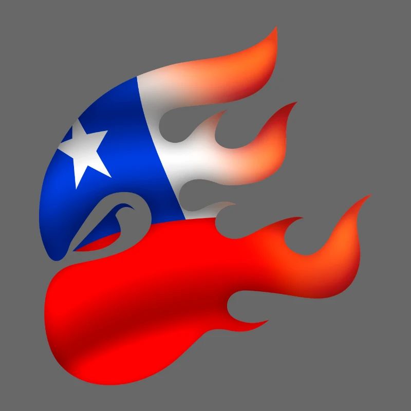 Flagge von Chile - Chile - Ninja